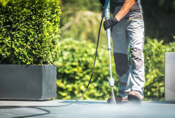 Best Roof Washing  in Hearne, TX